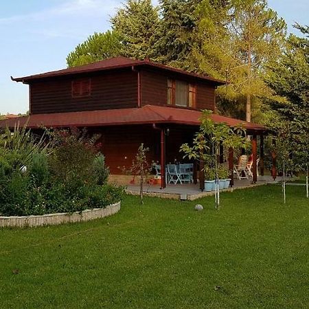 Nikol House Posidiヴィラ エクステリア 写真